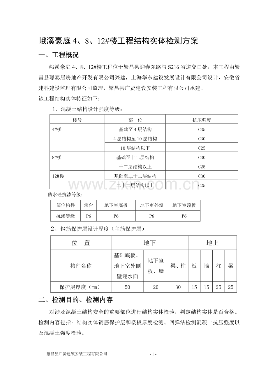 工程实体检测方案.doc_第1页