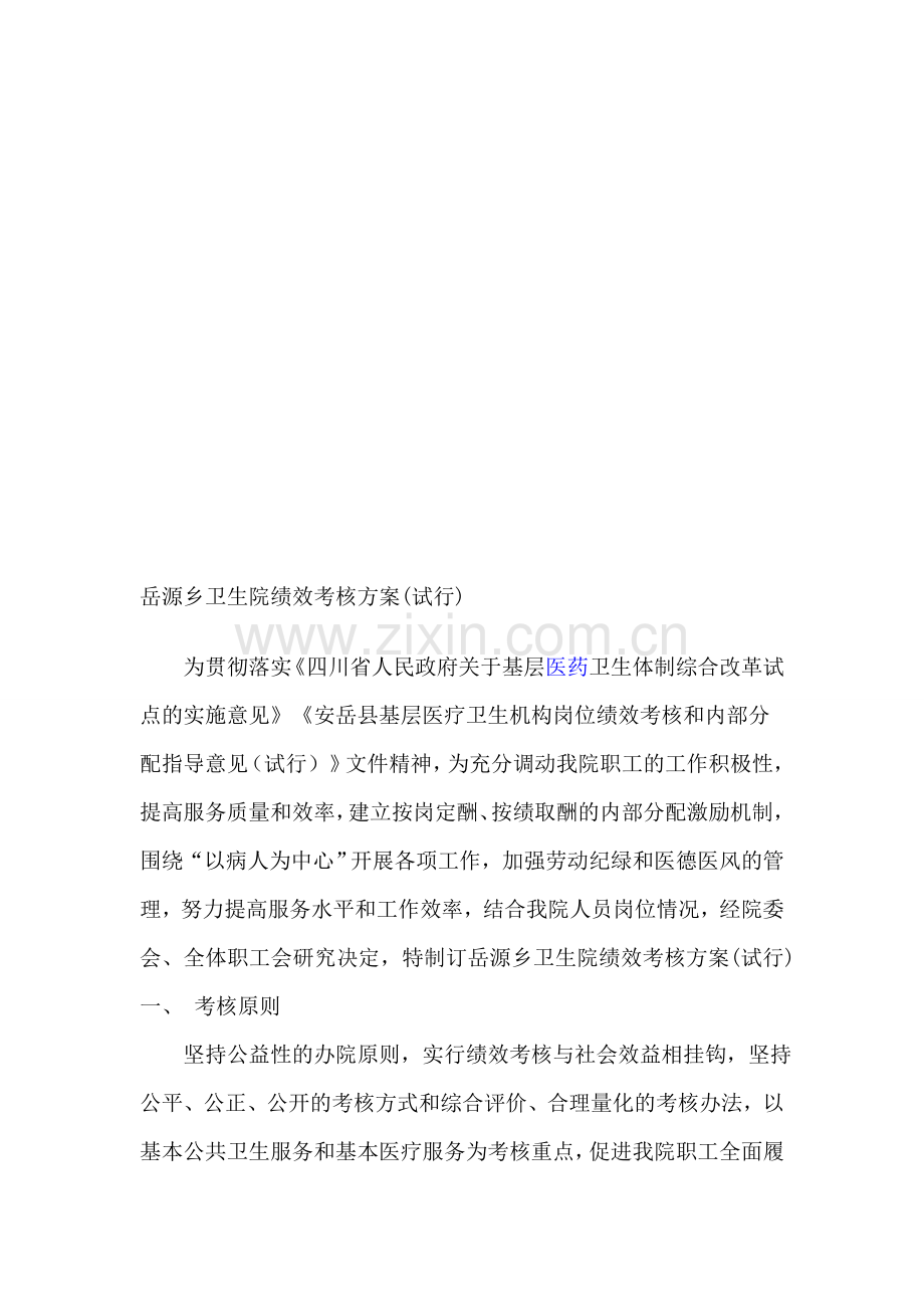 岳源乡卫生院绩效考核方案.doc_第1页