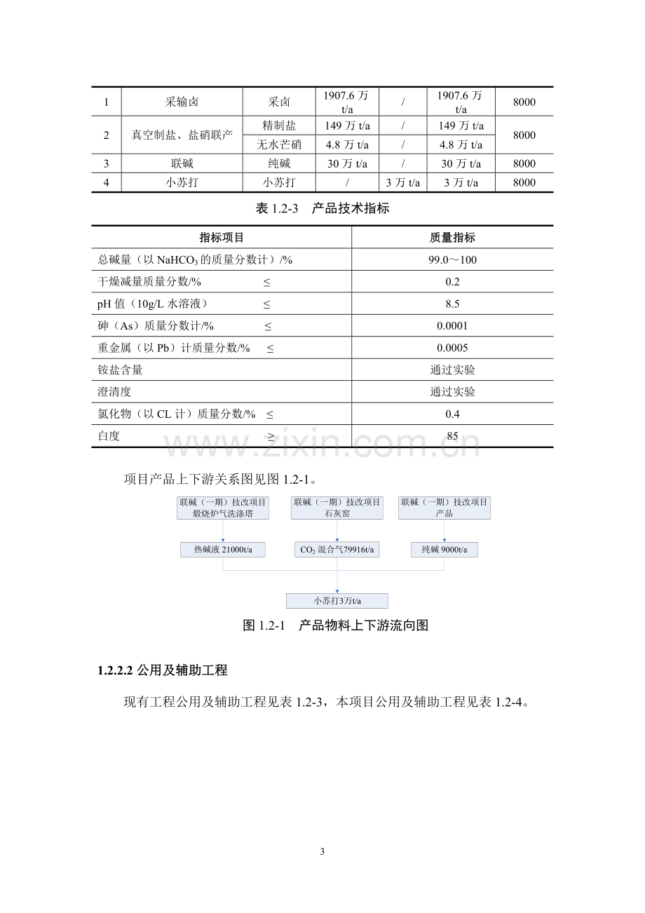 江苏井神盐化股份有限公司3万吨年小苏打技术改造项目简本.doc_第3页