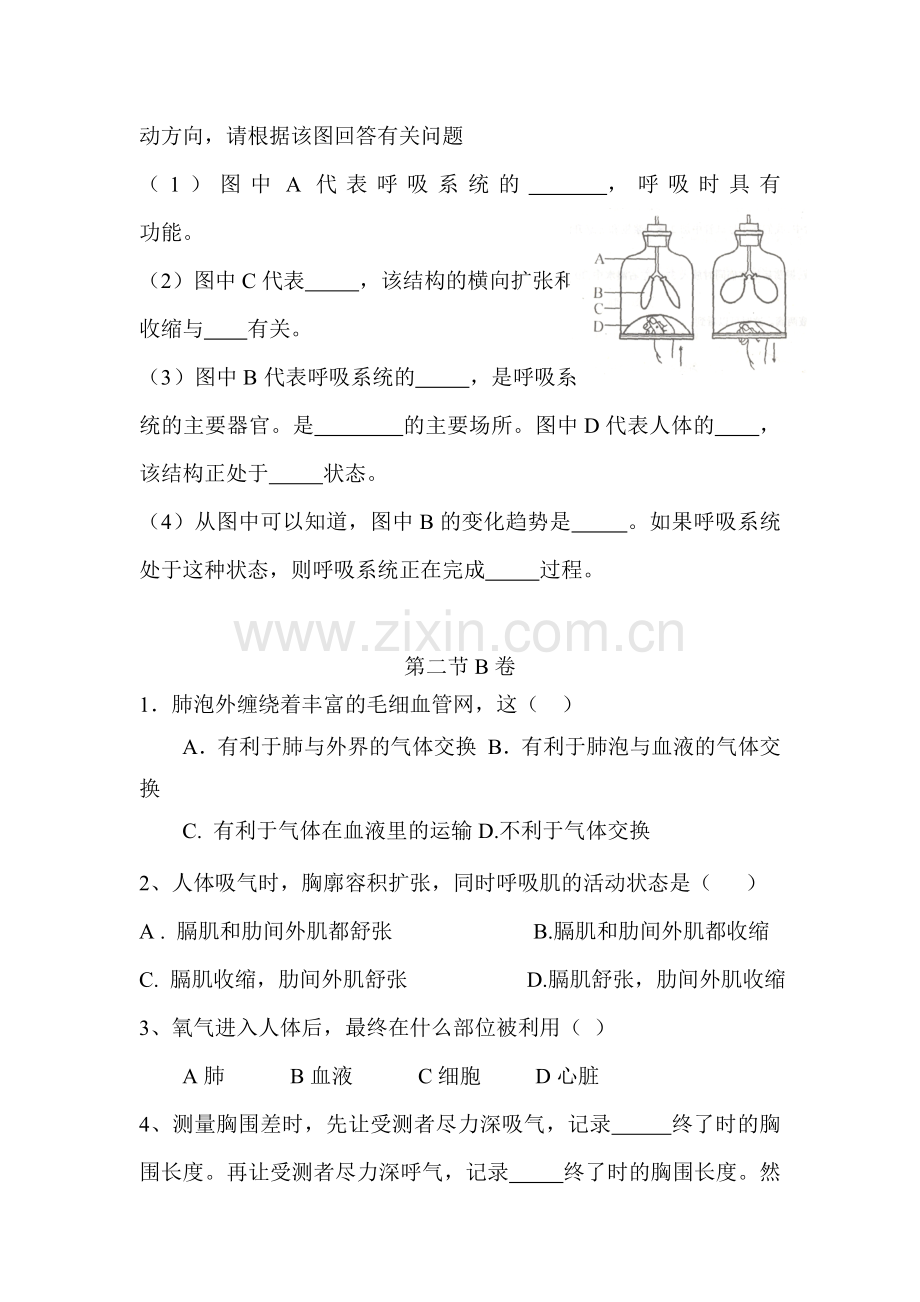 发生在肺内的气体交换同步检测试题.doc_第2页