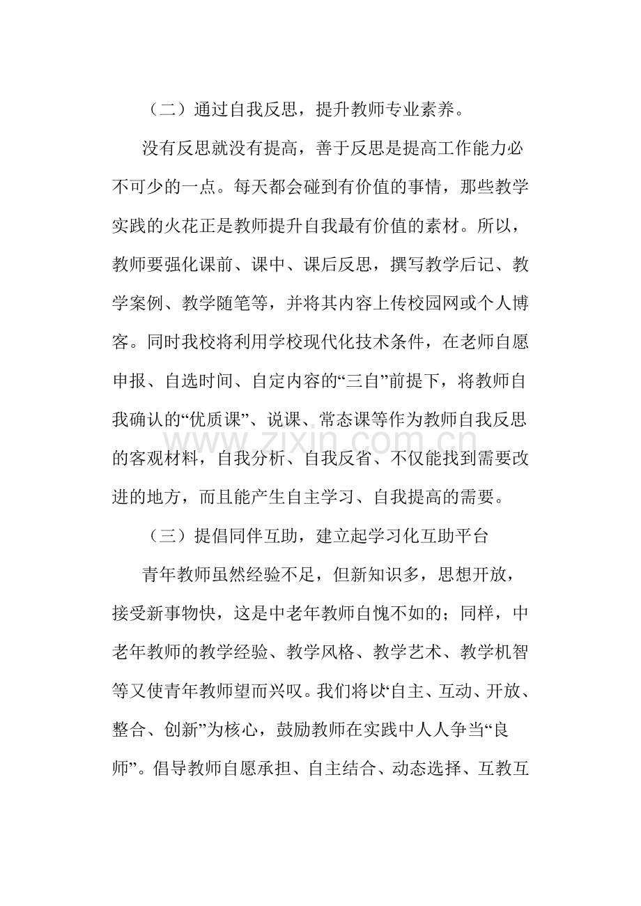 教师专业发展实施方案.doc_第3页