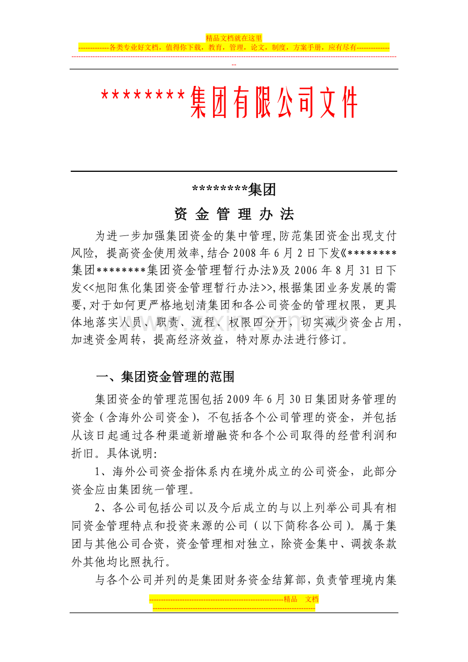 集团有限公司资金管理.docx_第1页