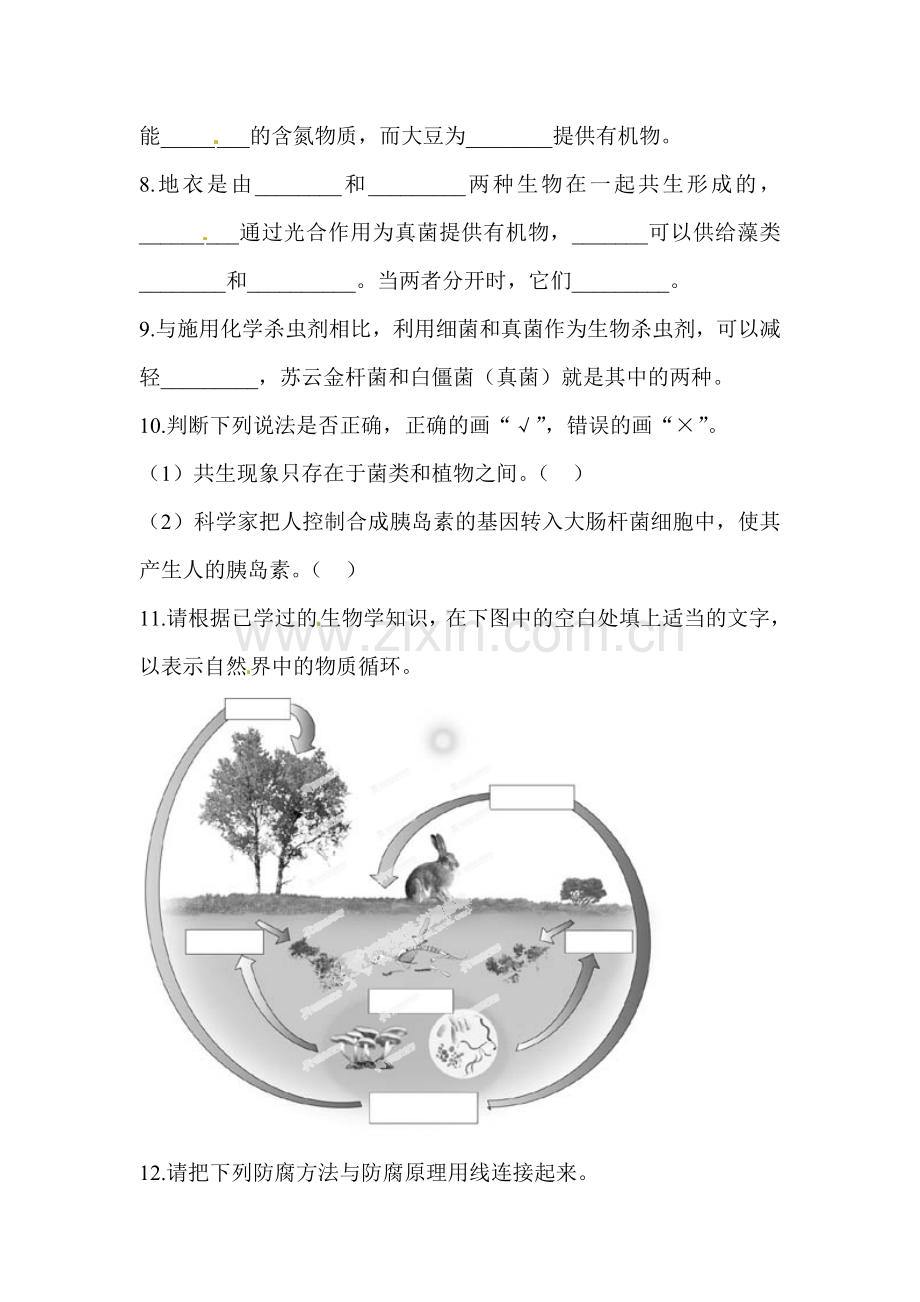 细菌和真菌在生物圈中的作用综合测试题.doc_第2页