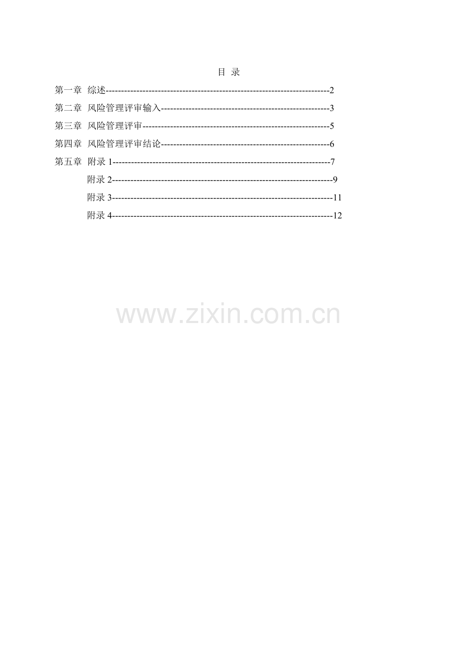 风险管理报告-模板.doc_第2页