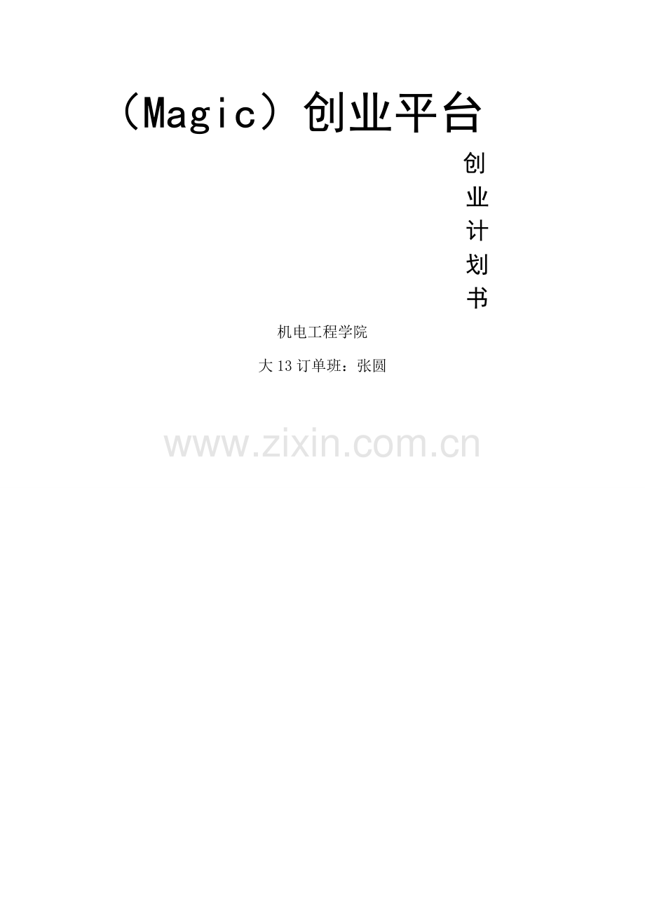 魔术店创业计划书.doc_第2页