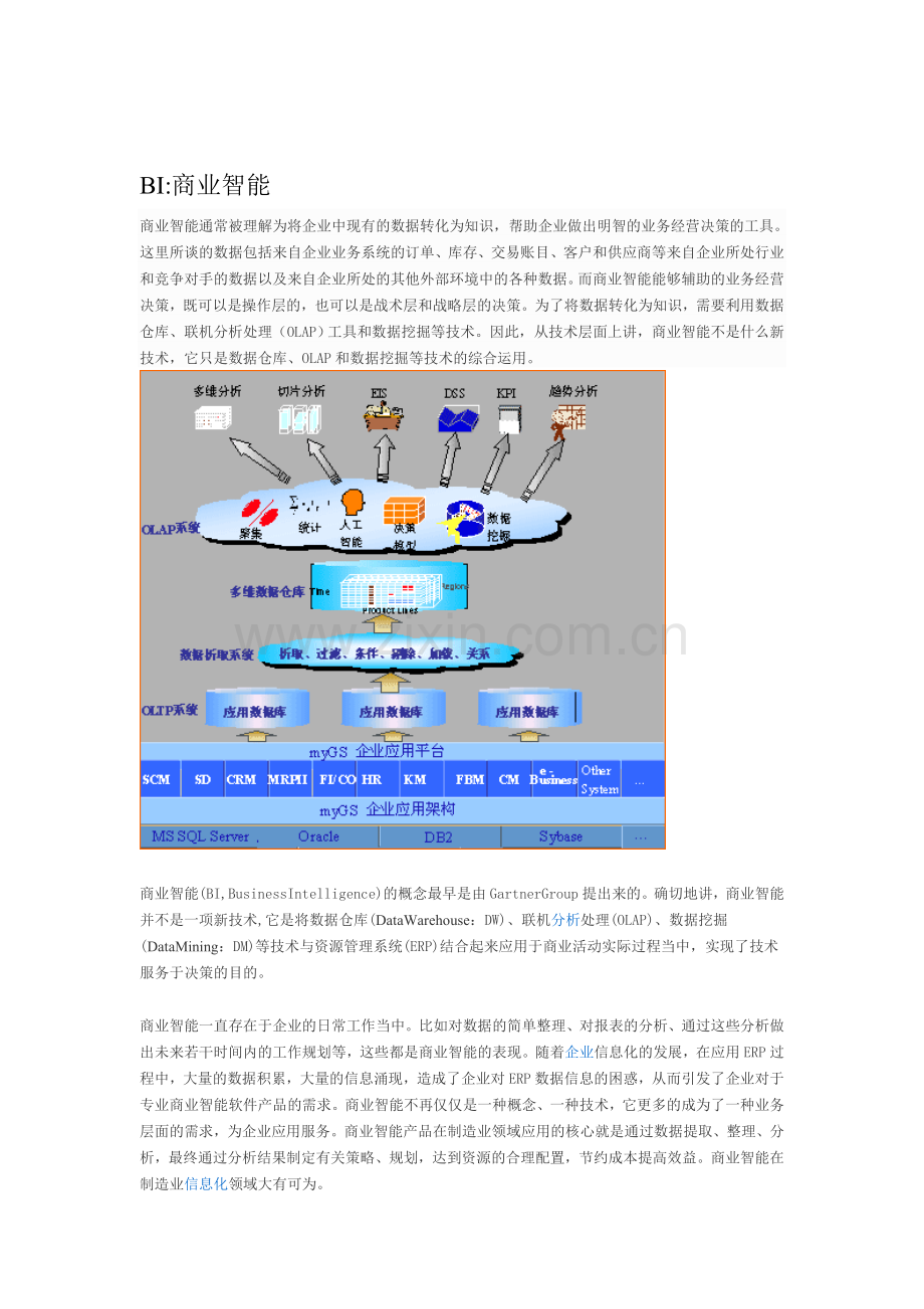 BI相关知识.doc_第1页