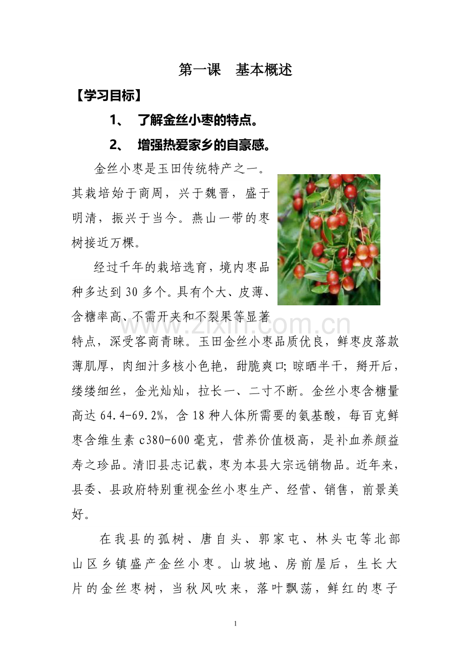 金丝小枣的栽培与管理-校本教材(正式)-Microsoft-Word-文档.doc_第1页