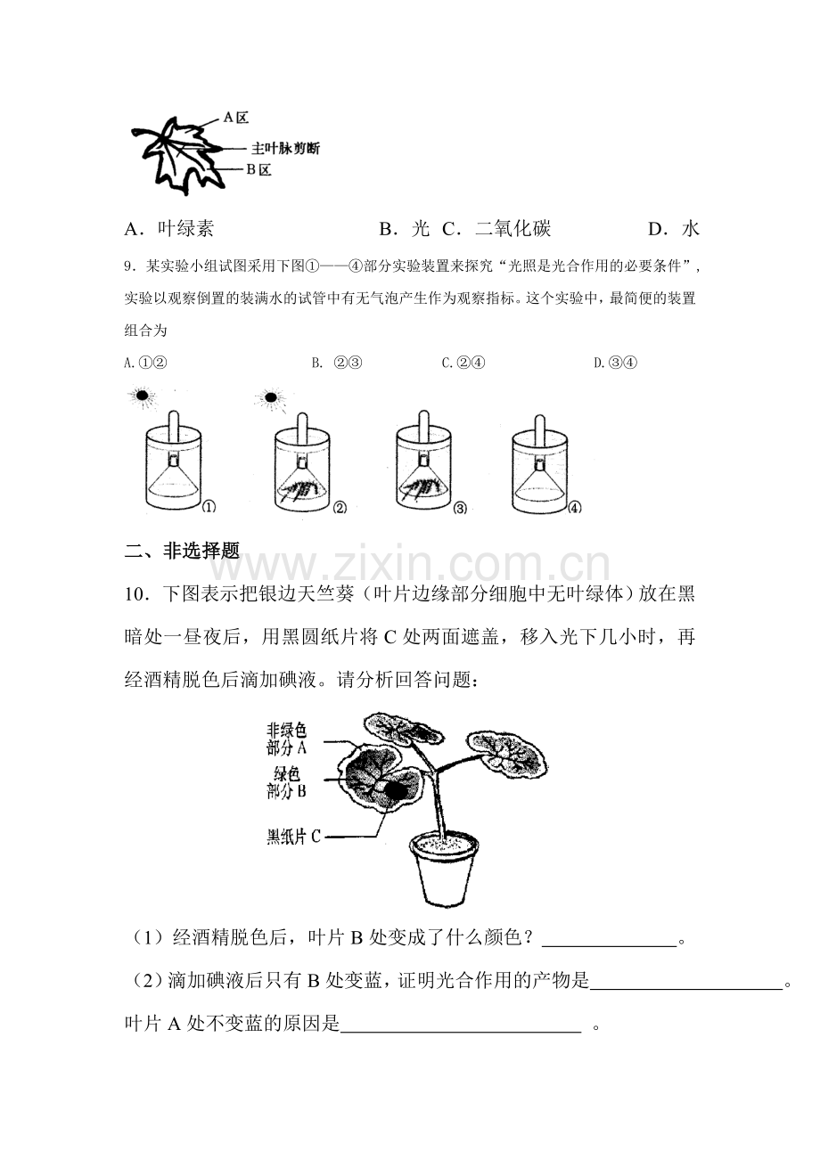 七年级生物绿色植物的光合作用同步练习2.doc_第3页