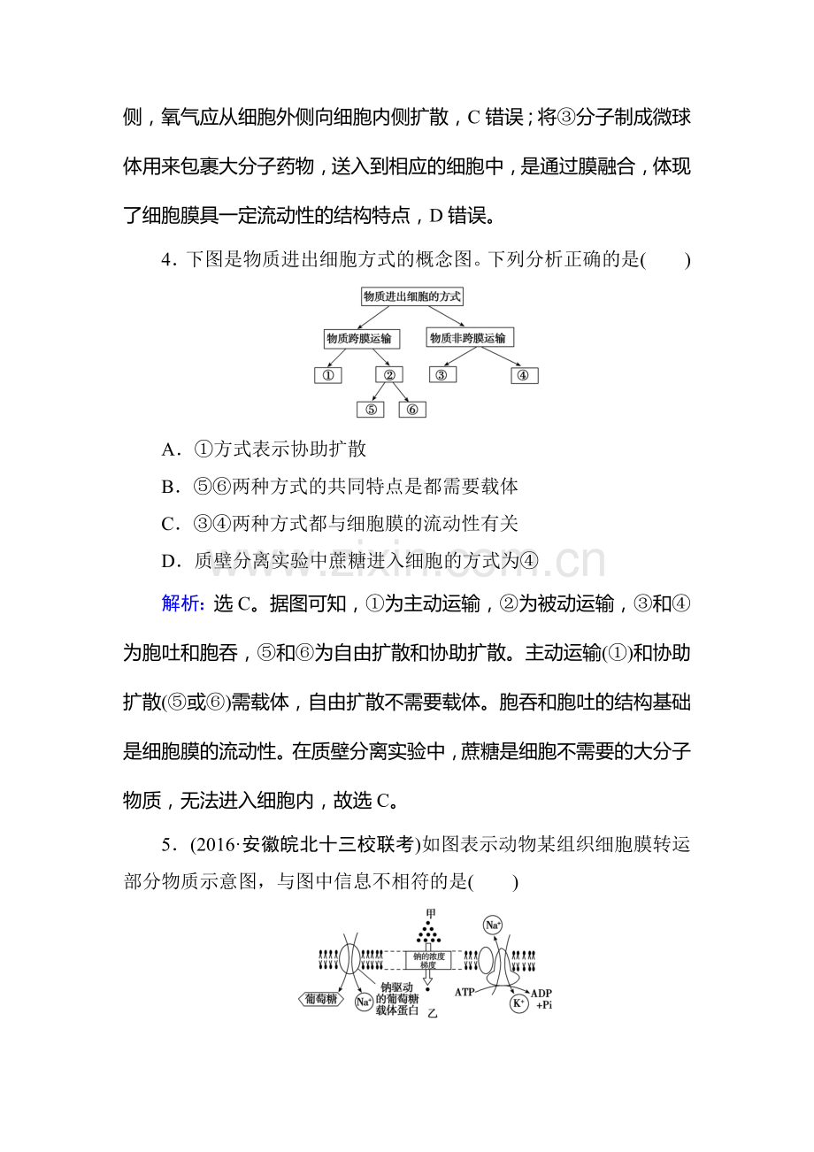 2017届高考生物第一轮规范复习训练14.doc_第3页