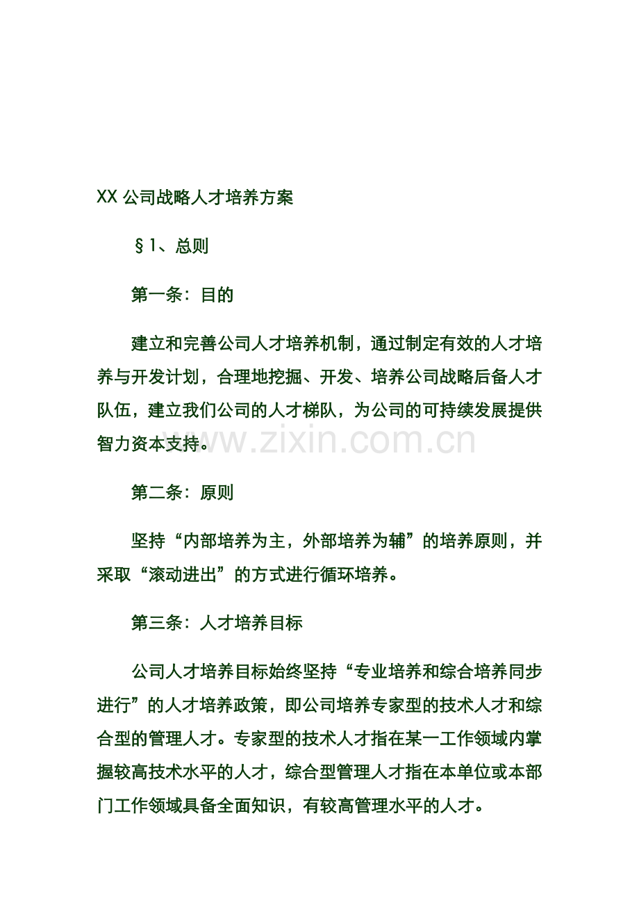 XX公司战略人才培养方案.doc_第1页