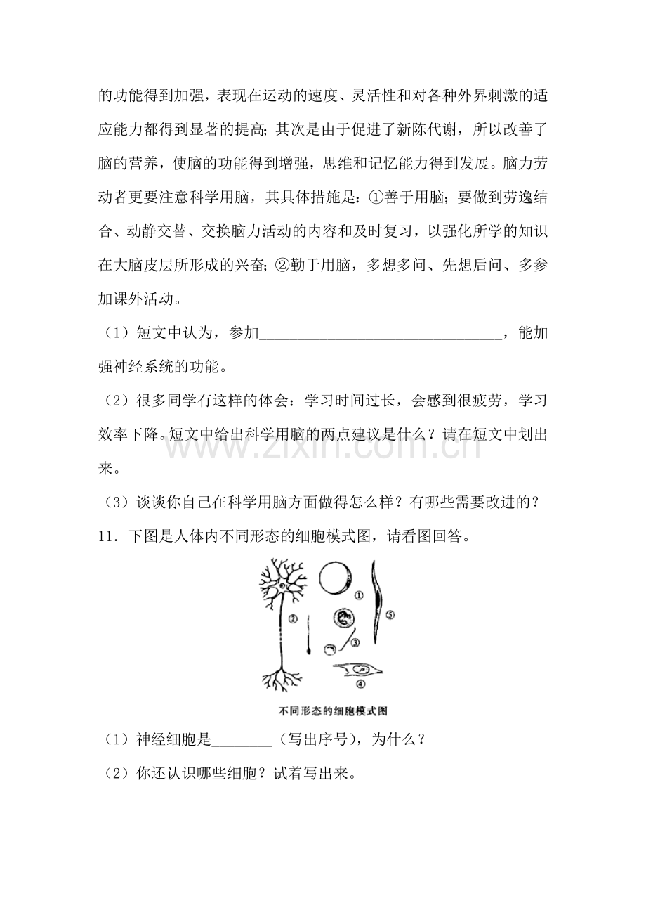 神经系统的组成课后拓展训练题.doc_第3页