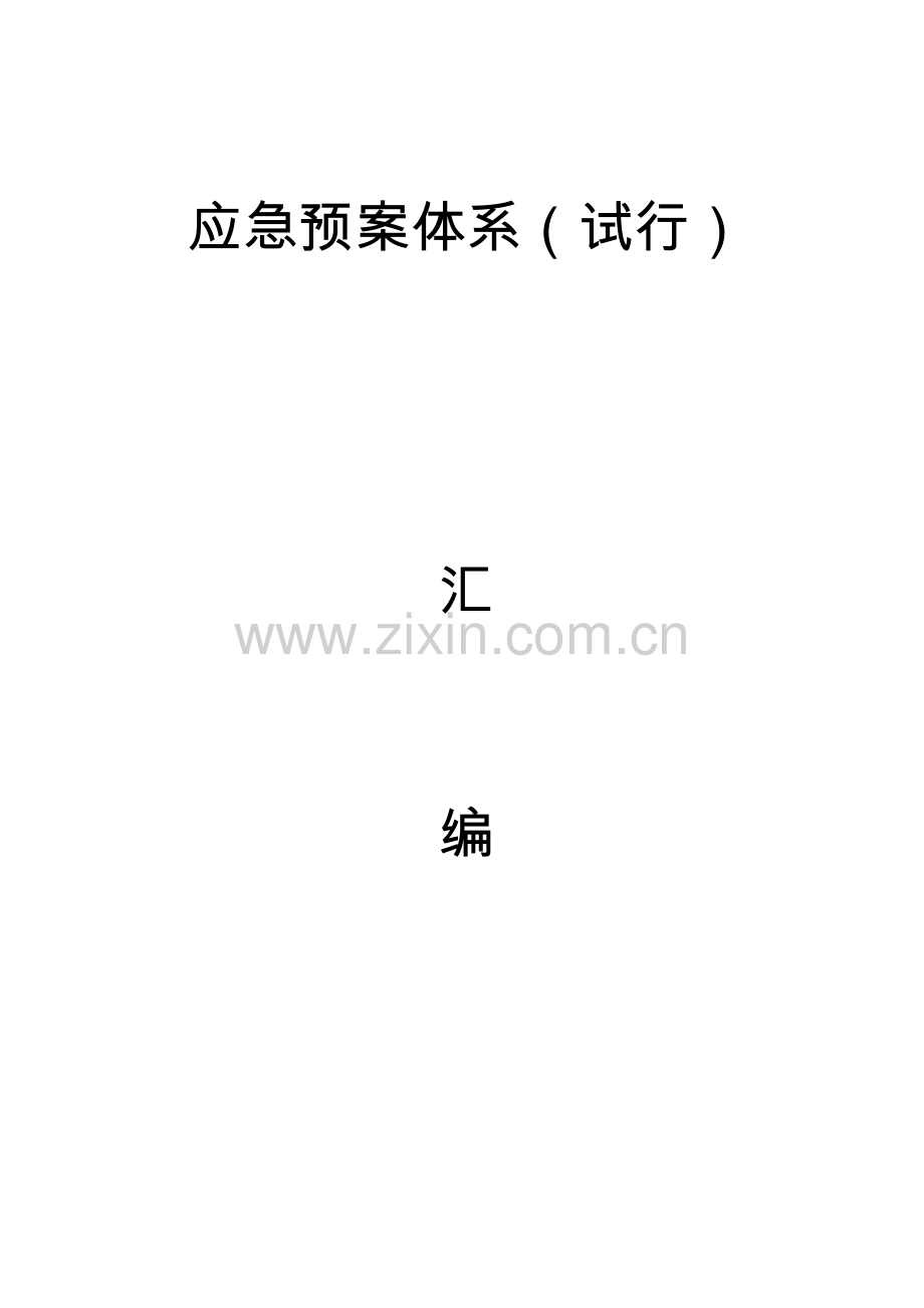 汽车租赁公司应急预案体系(试行)4.doc_第2页