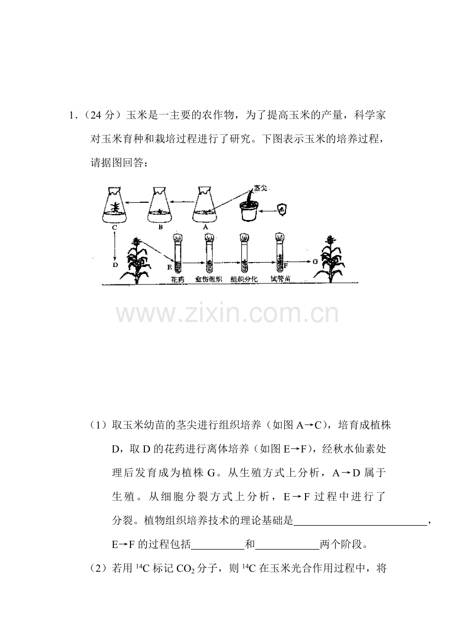 高三理综知识点精练复习题6.doc_第1页