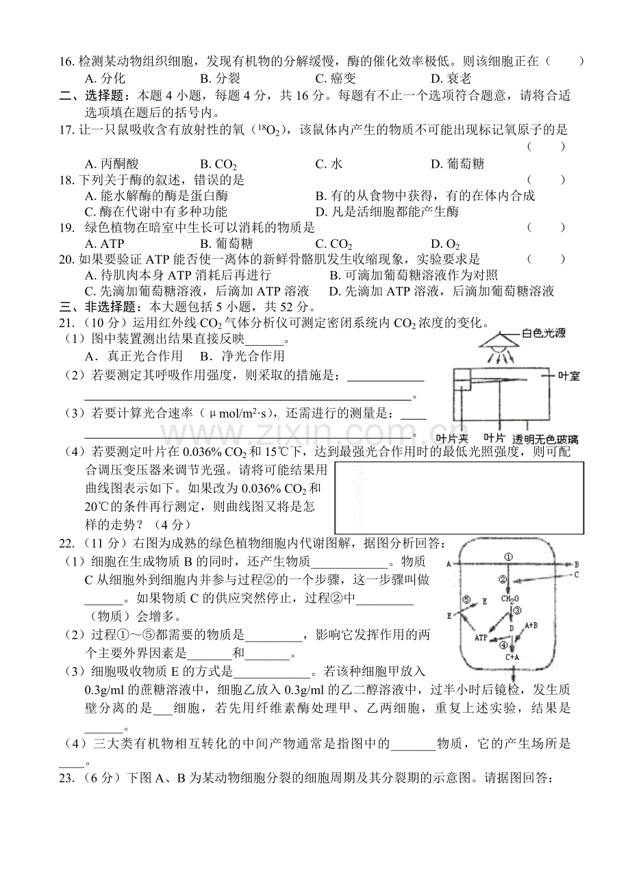 高二生物上学期期中试题.doc_第3页