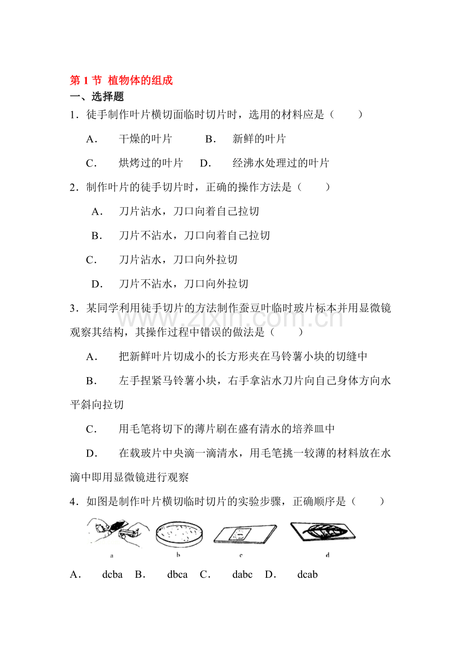 植物体的组成课时练习2.doc_第1页