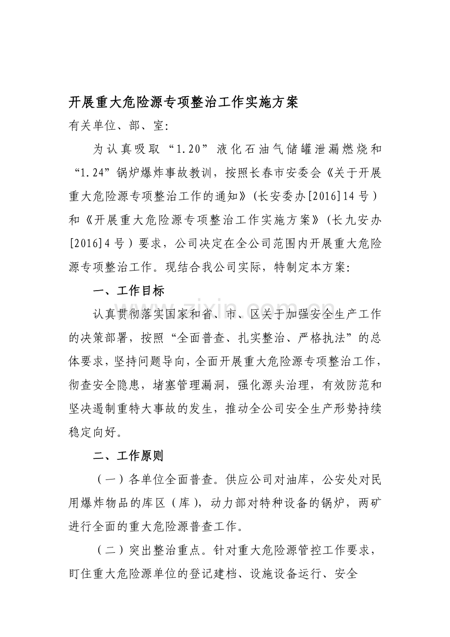 重大危险源整治方案.doc_第1页