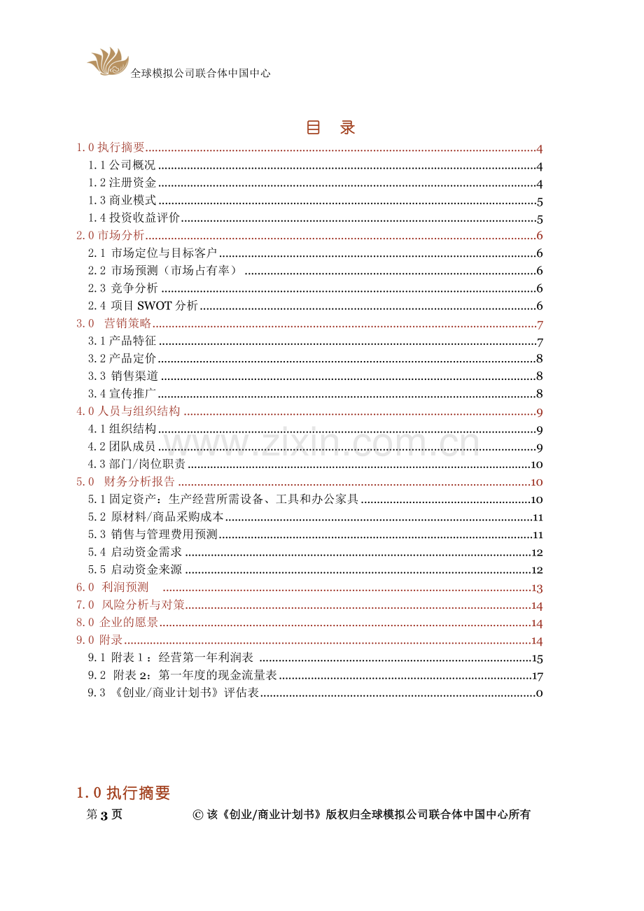 电子版本商业计划书.doc_第3页