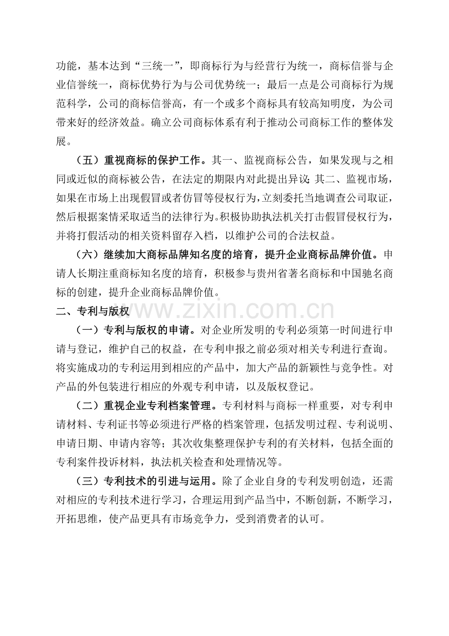 知识产权管理体系制度.doc_第2页