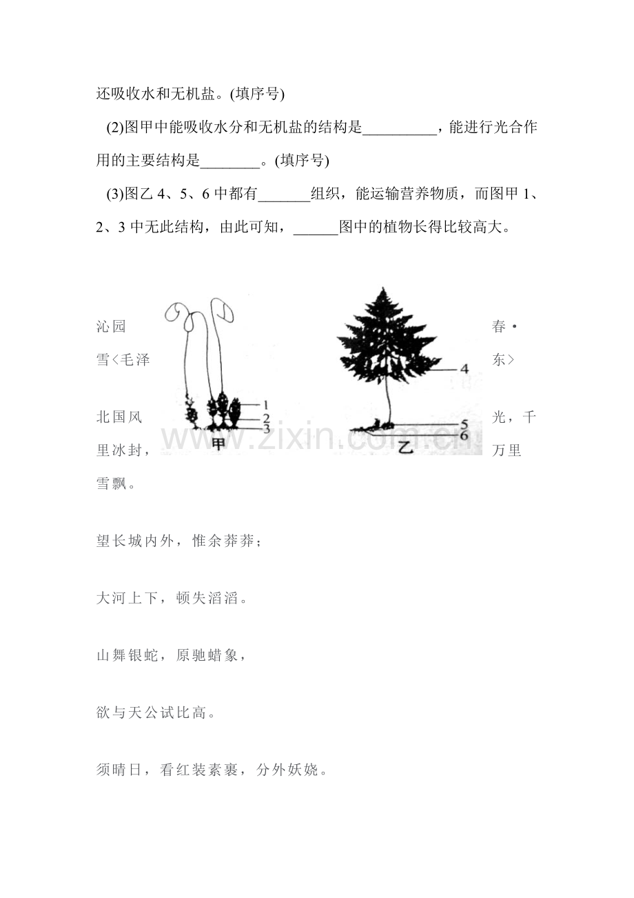 藻类、苔藓和蕨类植物同步检测1.doc_第3页