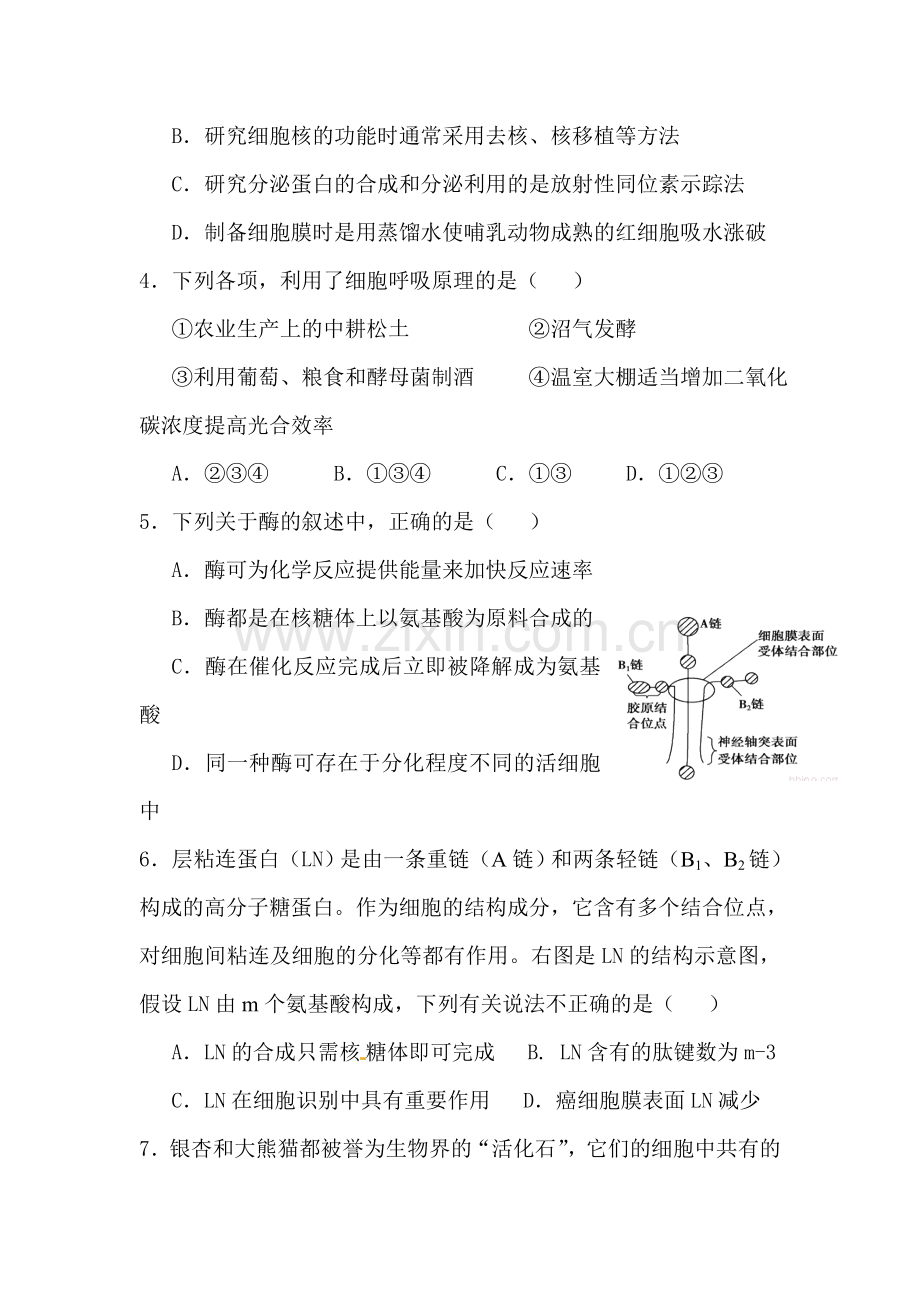 江西省临川区2016-2017学年高二生物上册期中考试题.doc_第2页