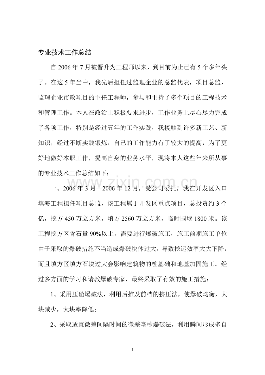 道桥专业高级工程师专业技术工作总结.doc_第1页