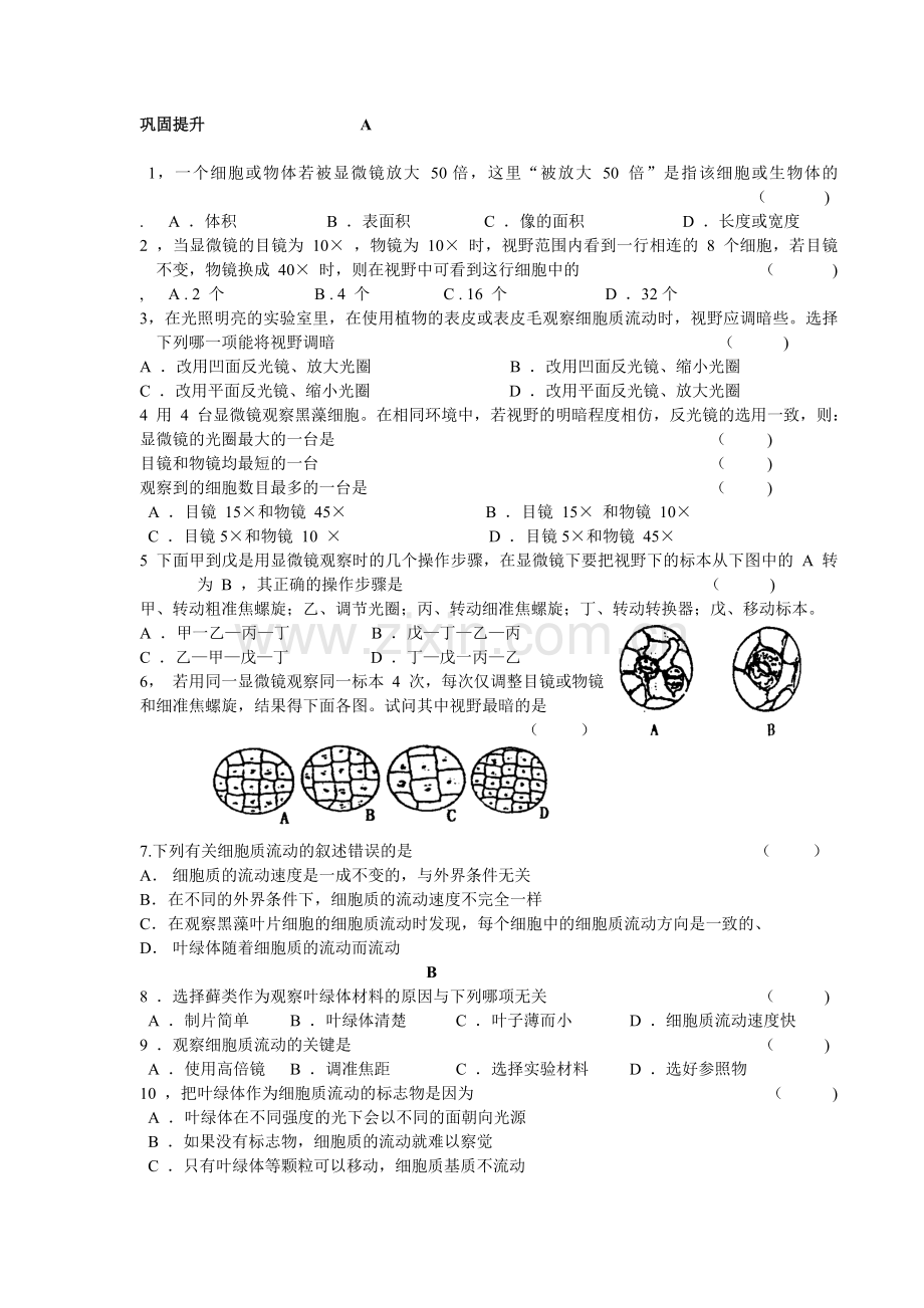 高倍显微镜观察叶绿体和细胞质流动.doc_第2页