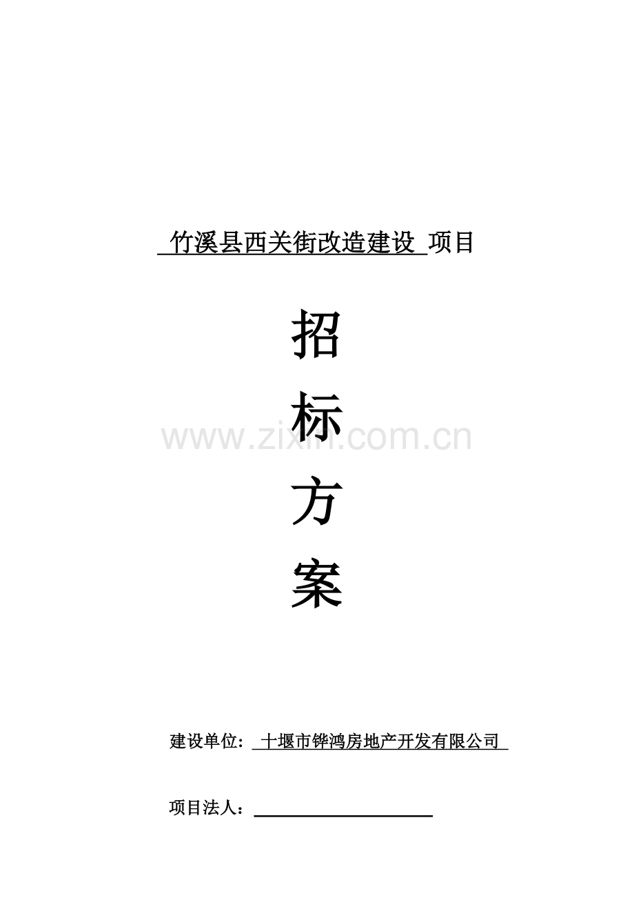 项目招标方案.doc_第2页