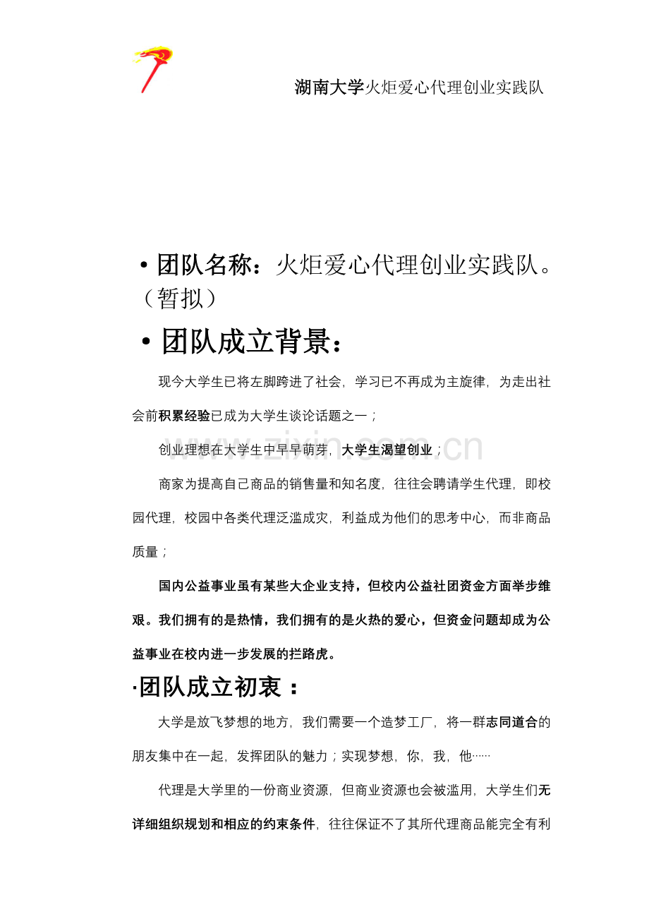 团队策划书1.doc_第1页