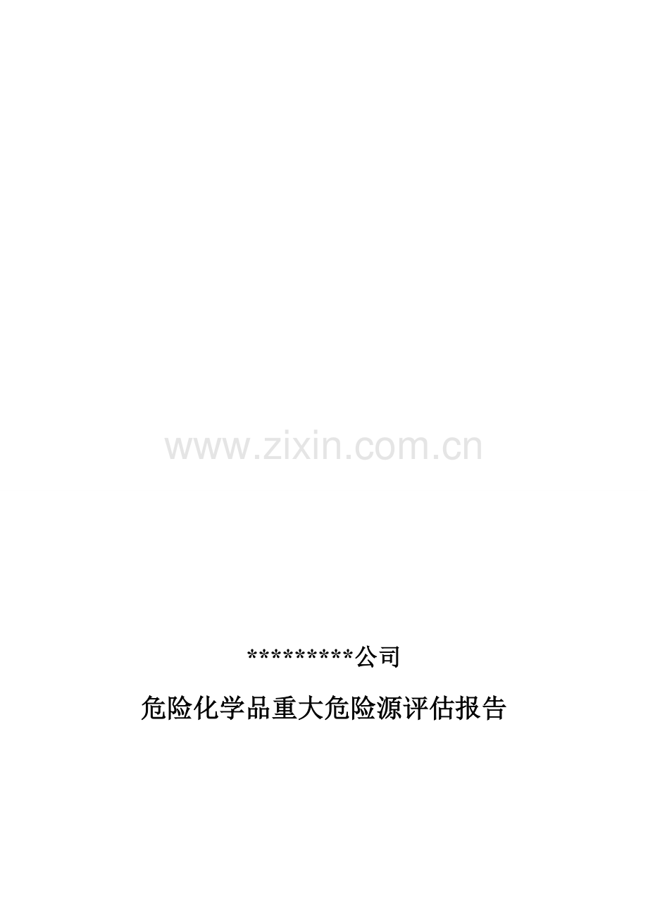 危险化学品重大危险源评估报告(参考).doc_第1页