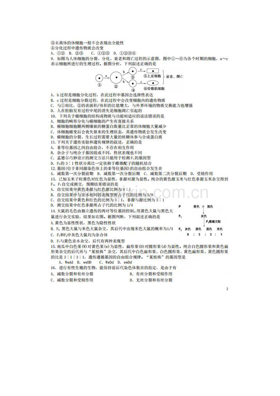 高一生物下册6月阶段性测试题.doc_第2页