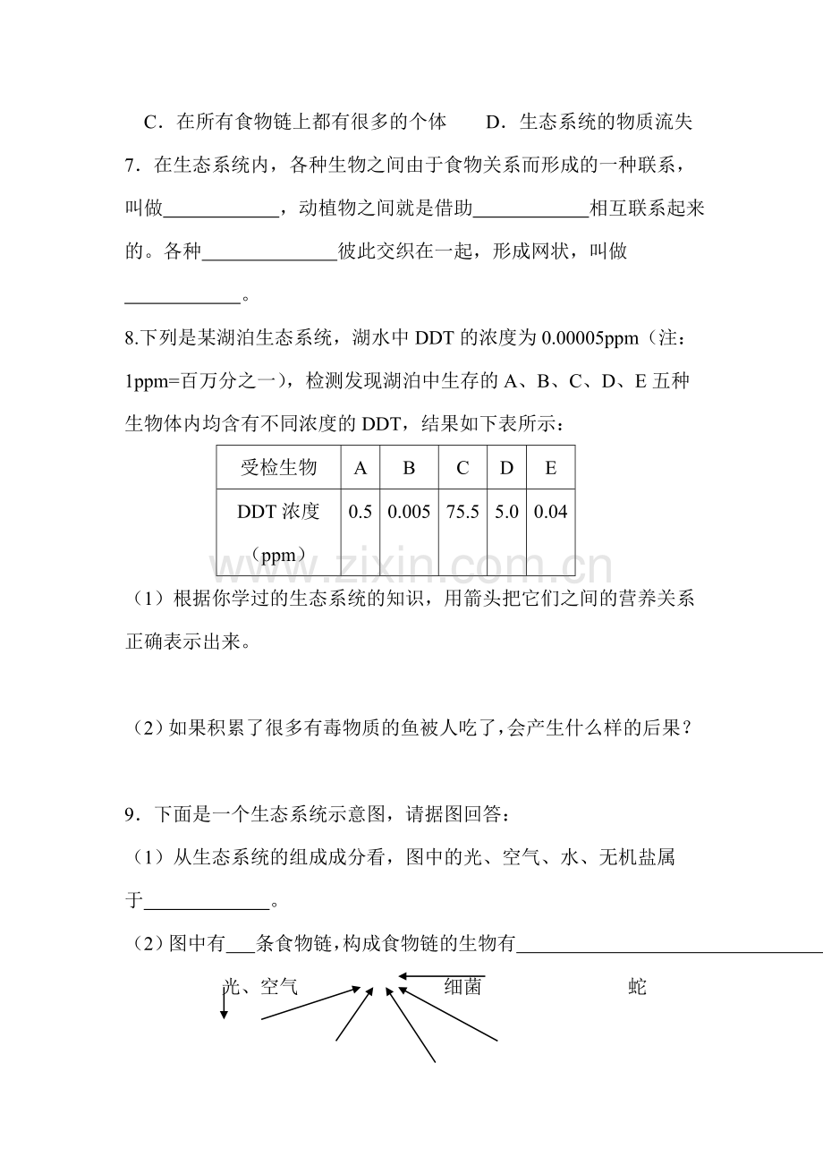 七年级生物食物网同步练习.doc_第2页