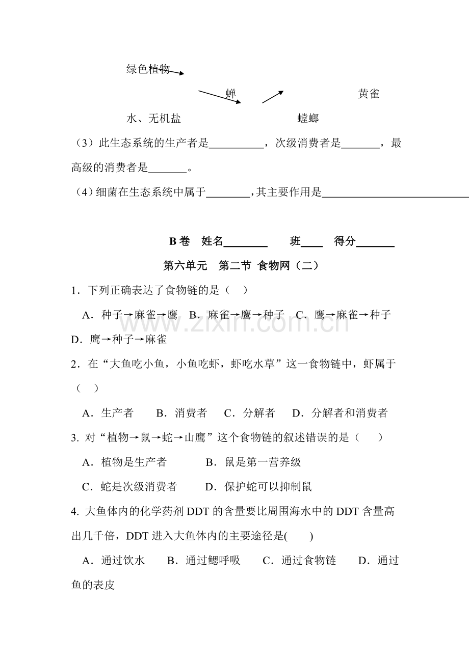 七年级生物食物网同步练习.doc_第3页