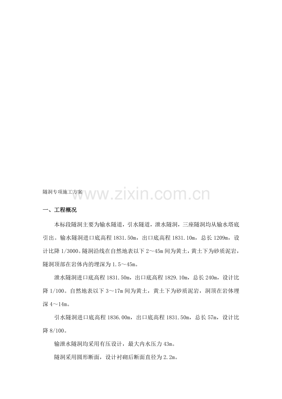 隧洞专项施工方案.doc_第1页