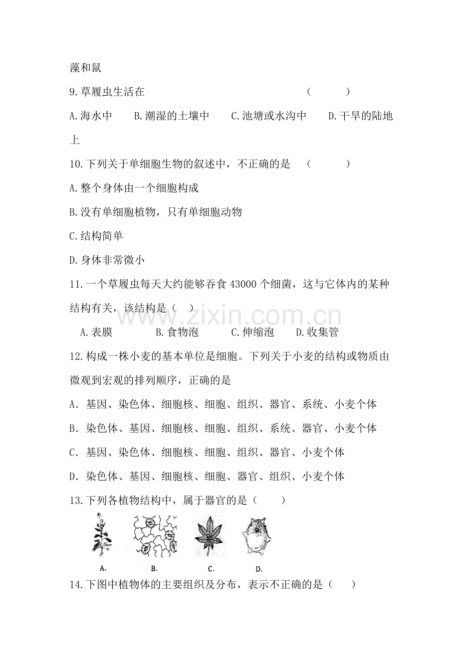 七年级生物细胞怎样构成生物体复习检测题.doc_第2页