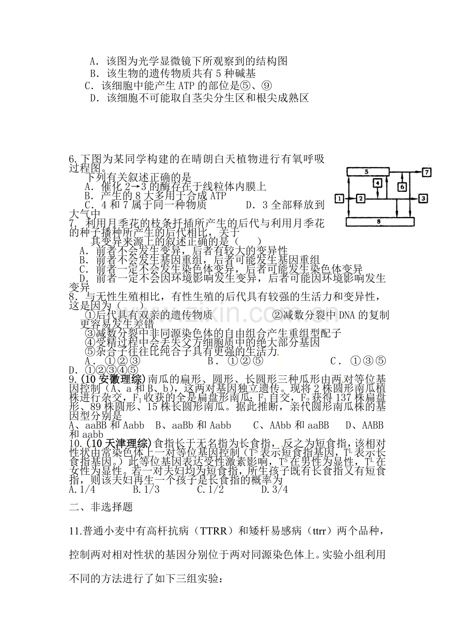 高一生物知识点综合复习检测题23.doc_第2页