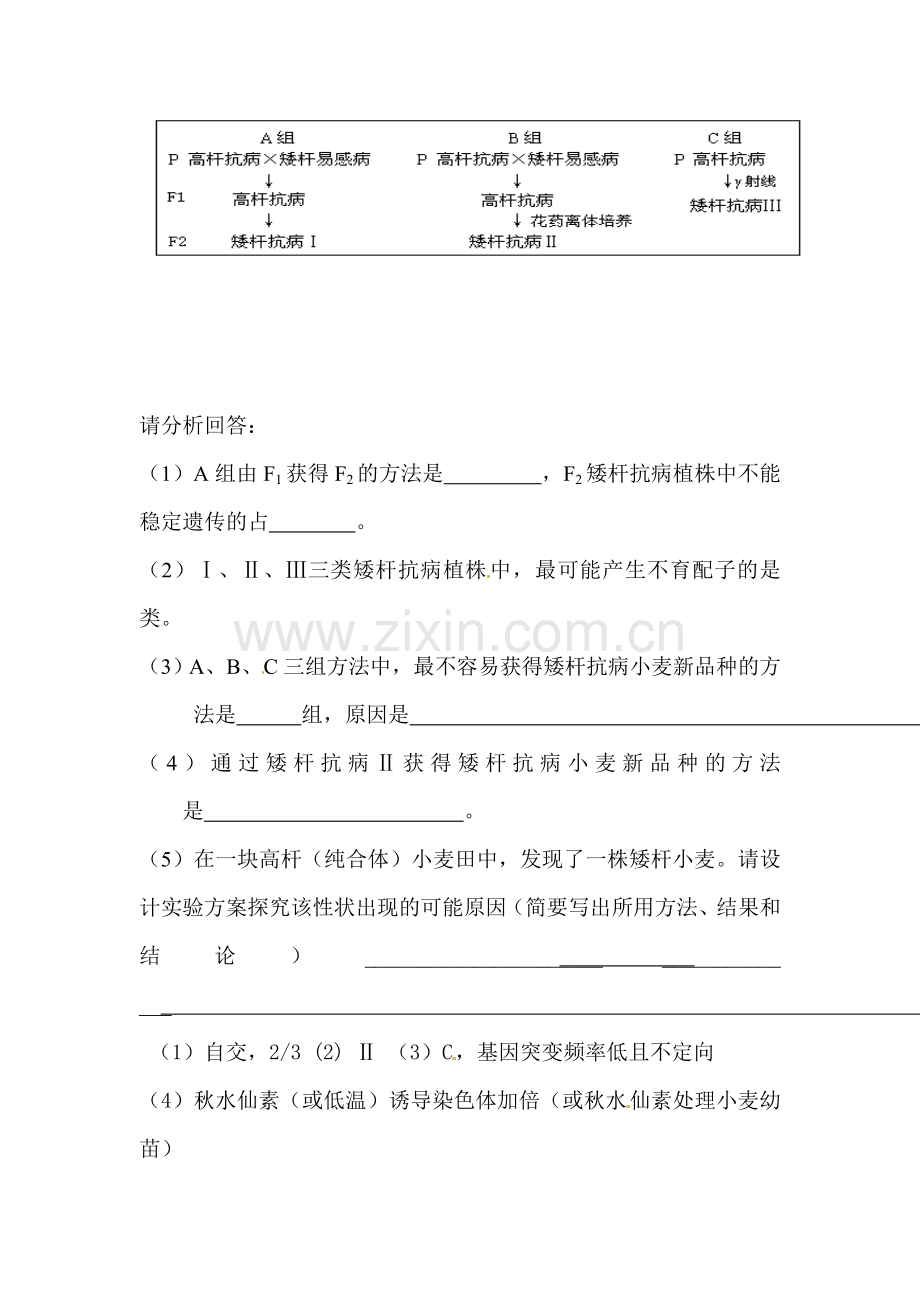 高一生物知识点综合复习检测题23.doc_第3页