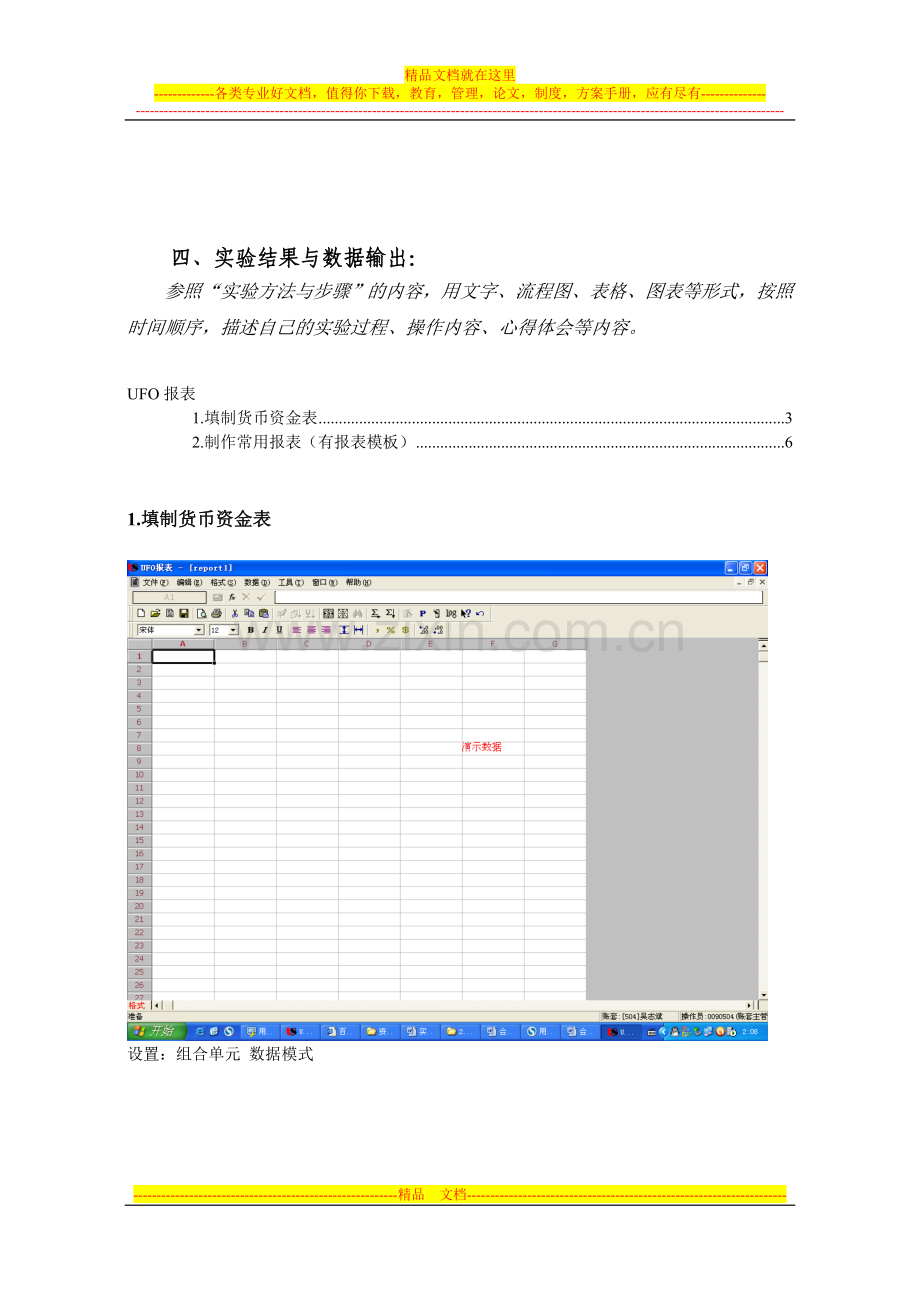 实验三-报表管理-实验报告模板.doc_第3页