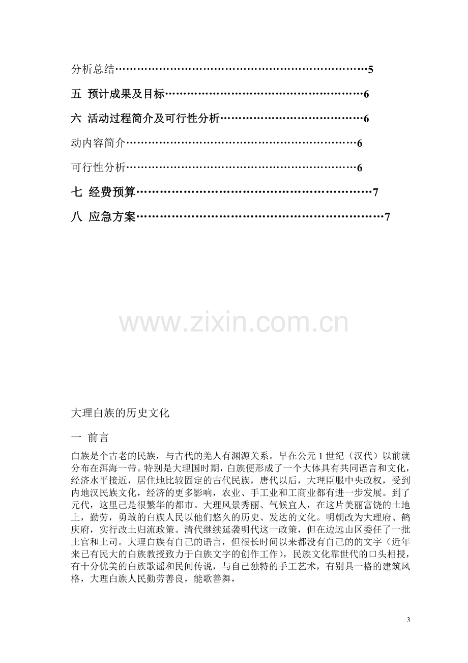 大学生暑期实践策划书.doc_第3页