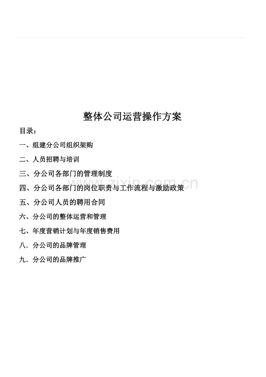 整体公司运营操作方案.doc_第1页