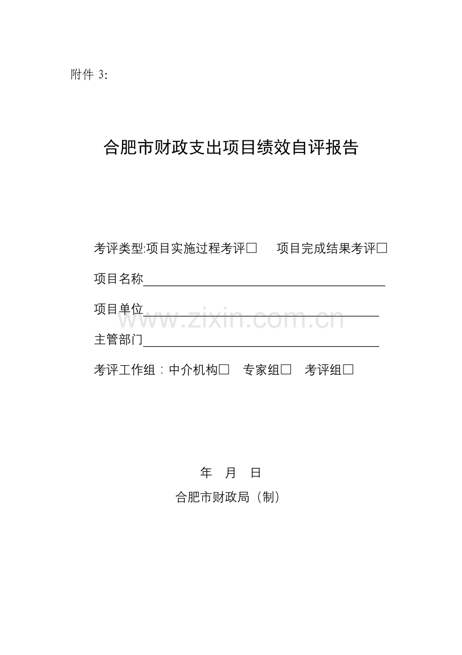 合肥市财政支出项目绩效自评报告.doc_第1页