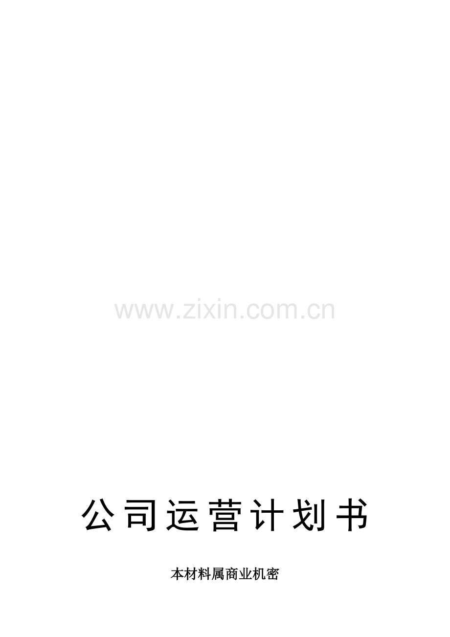 公司运营计划书.doc_第2页