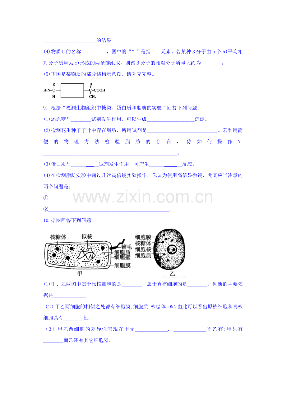 江西省南昌市2015-2016学年高一生物上册期中试题.doc_第3页