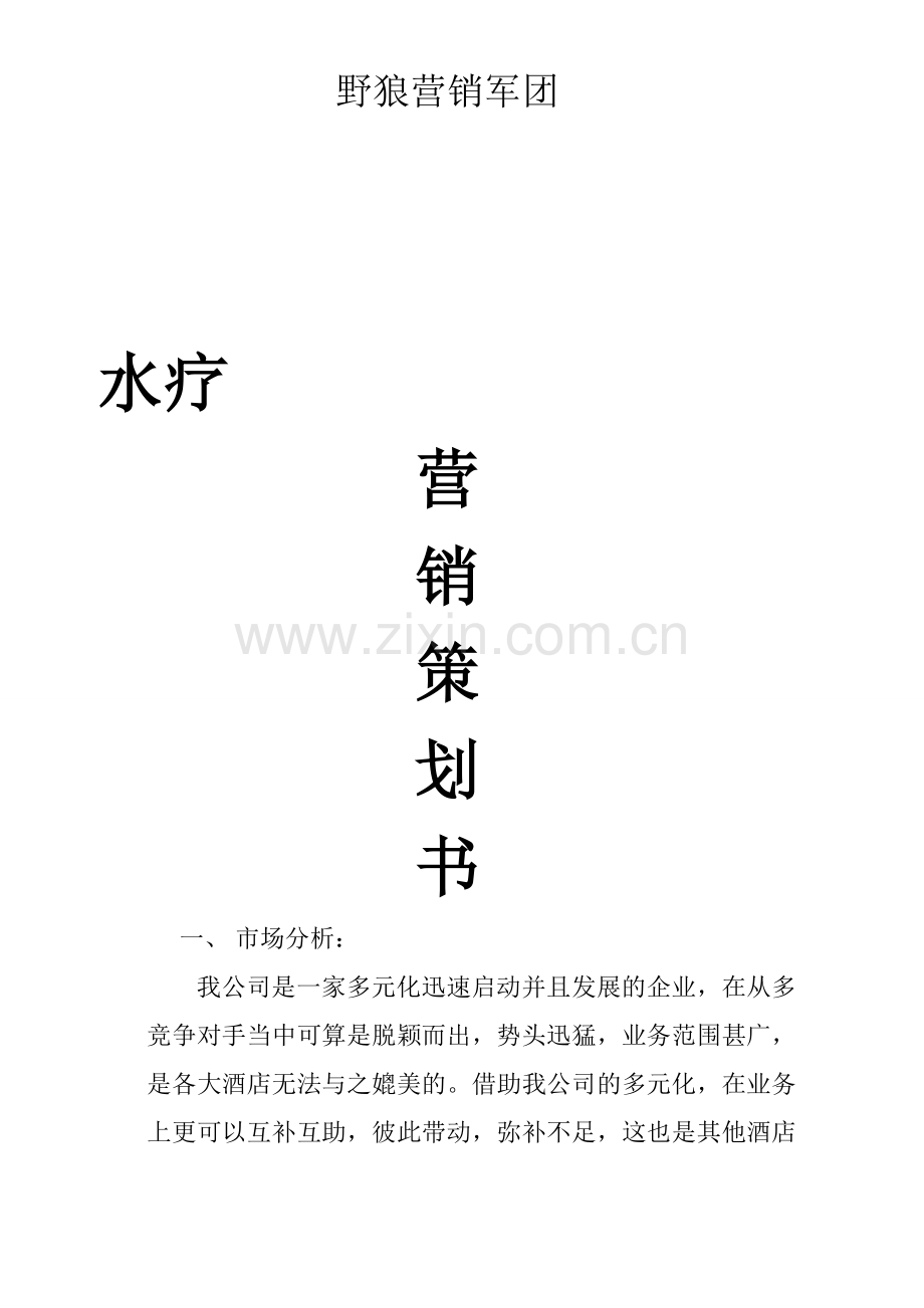 水疗酒店营销策划书(经典).doc_第1页