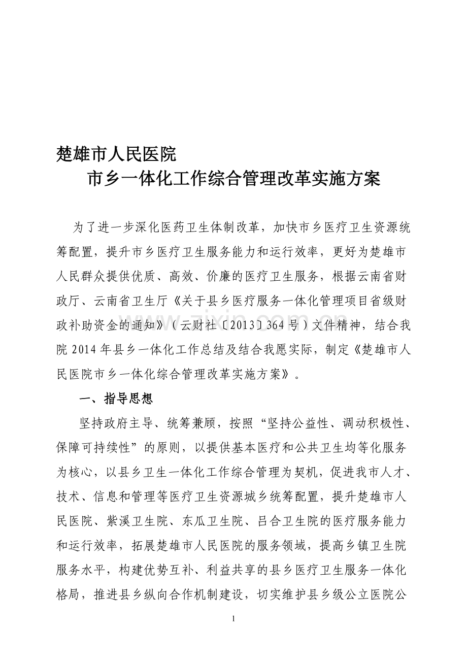 市人民医院县乡一体化工作综合管理改革实施方案.doc_第1页