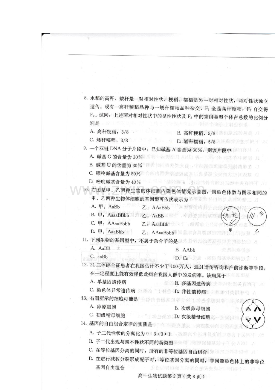 河北省保定市2015-2016年度高一生物下册期末试题2.doc_第2页