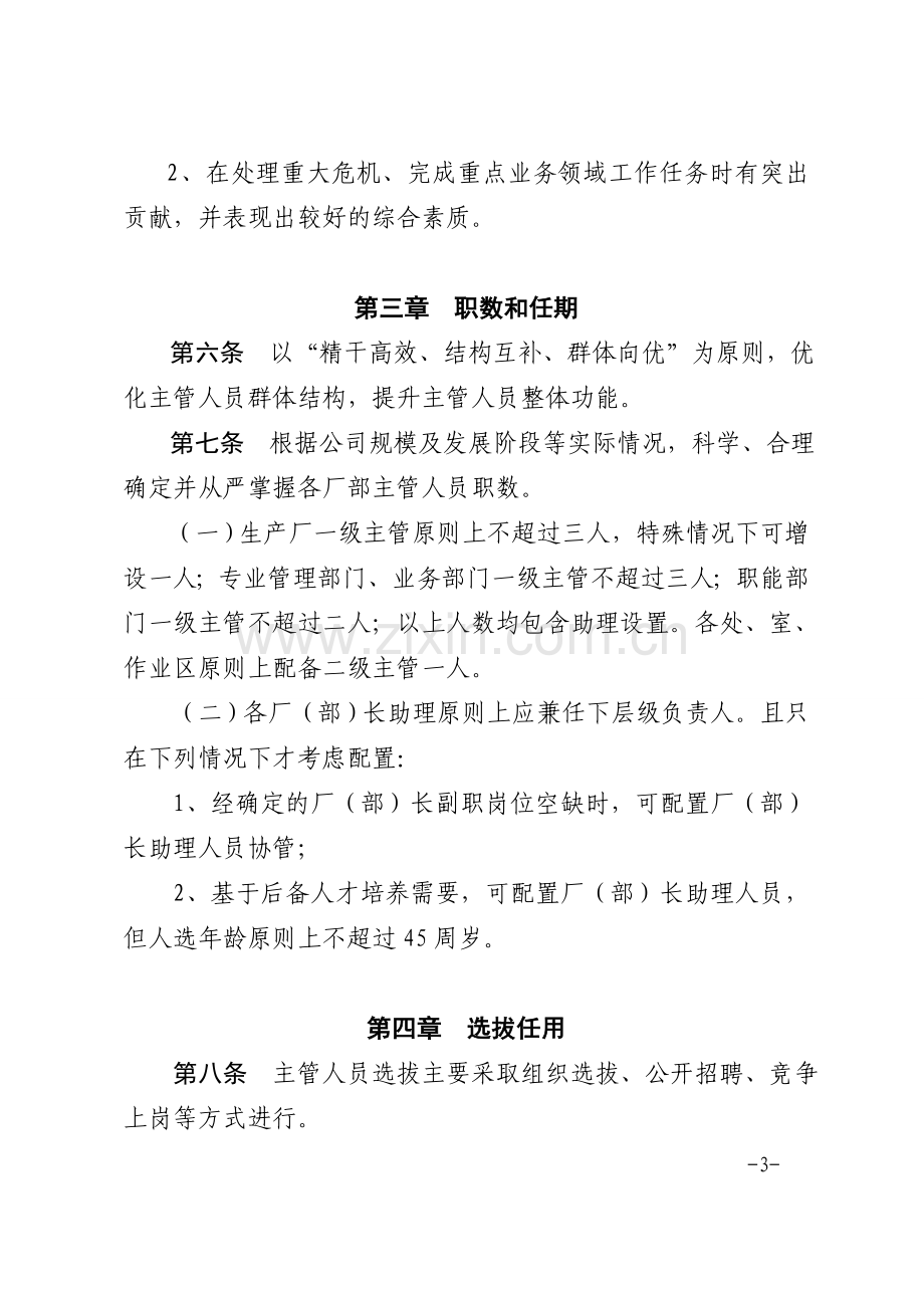 公司主管人员管理办法.doc_第3页