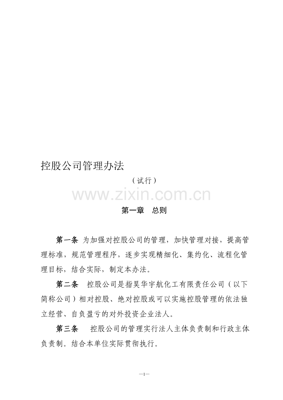 控股公司管理办法.doc_第1页