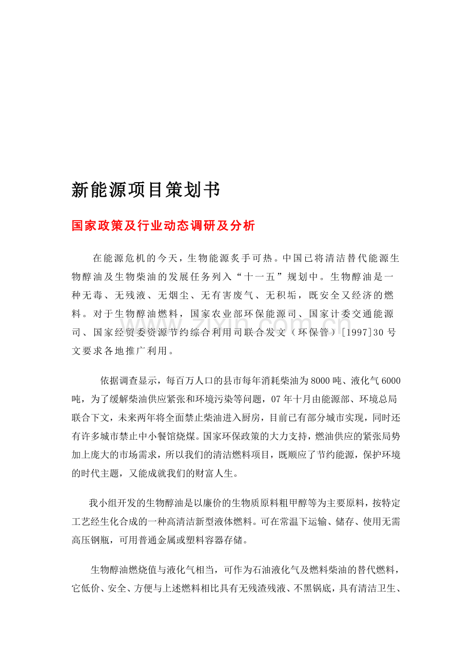 新能源项目策划书.doc_第1页