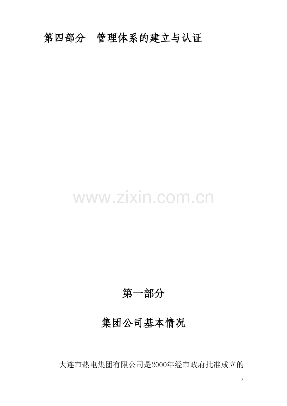 集团公司咨询方案.doc_第3页