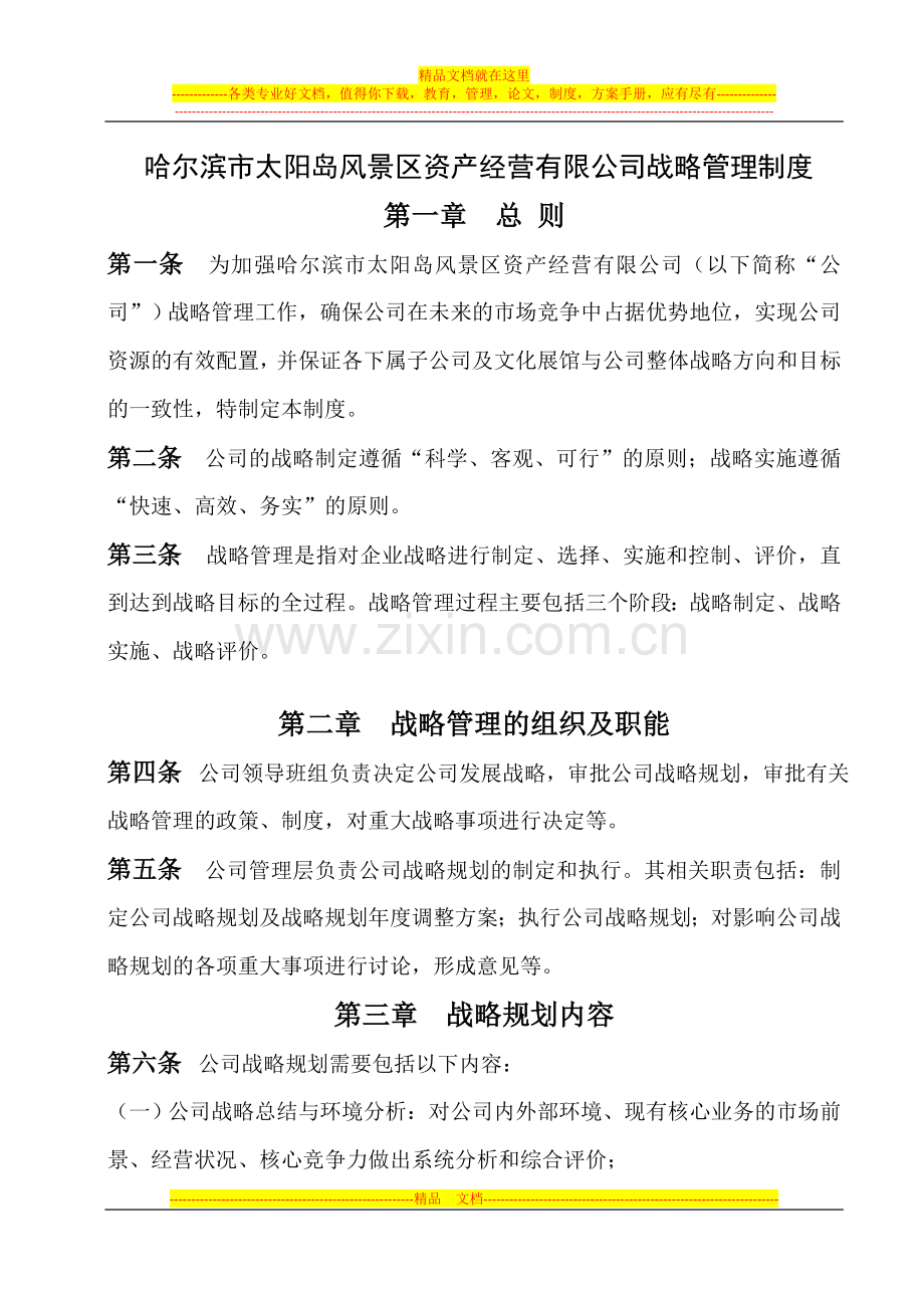 资产公司战略管理制度.docx_第1页